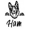 Tricou alb personalizat cu catei Ham Ham 1